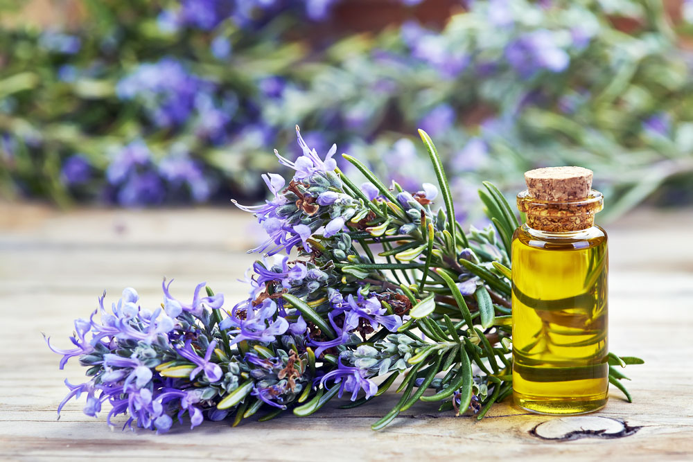 Rosemary Oil - Top 6 Uses & Health Benefits for Hair Growth, Skin, & Acne