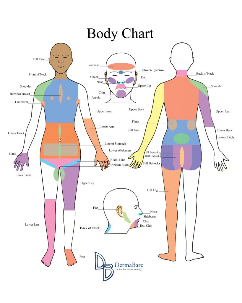 Figure 1.2 Diagram of laser hair removal treatment areas. Image courtesy of Dermabare.